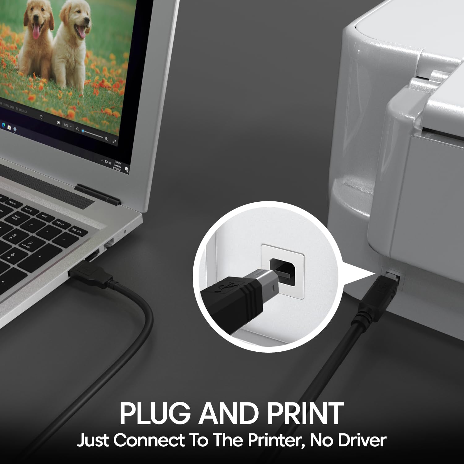 Sounce USB 2.0 High Speed Printer Cable (1.5 Meter) USB Scanner Cable A Male to B Male Compatible with Printers, Scanner for Canon, Brother, Dell, Epson, HP, Samsung, Lexmark,Panasonic