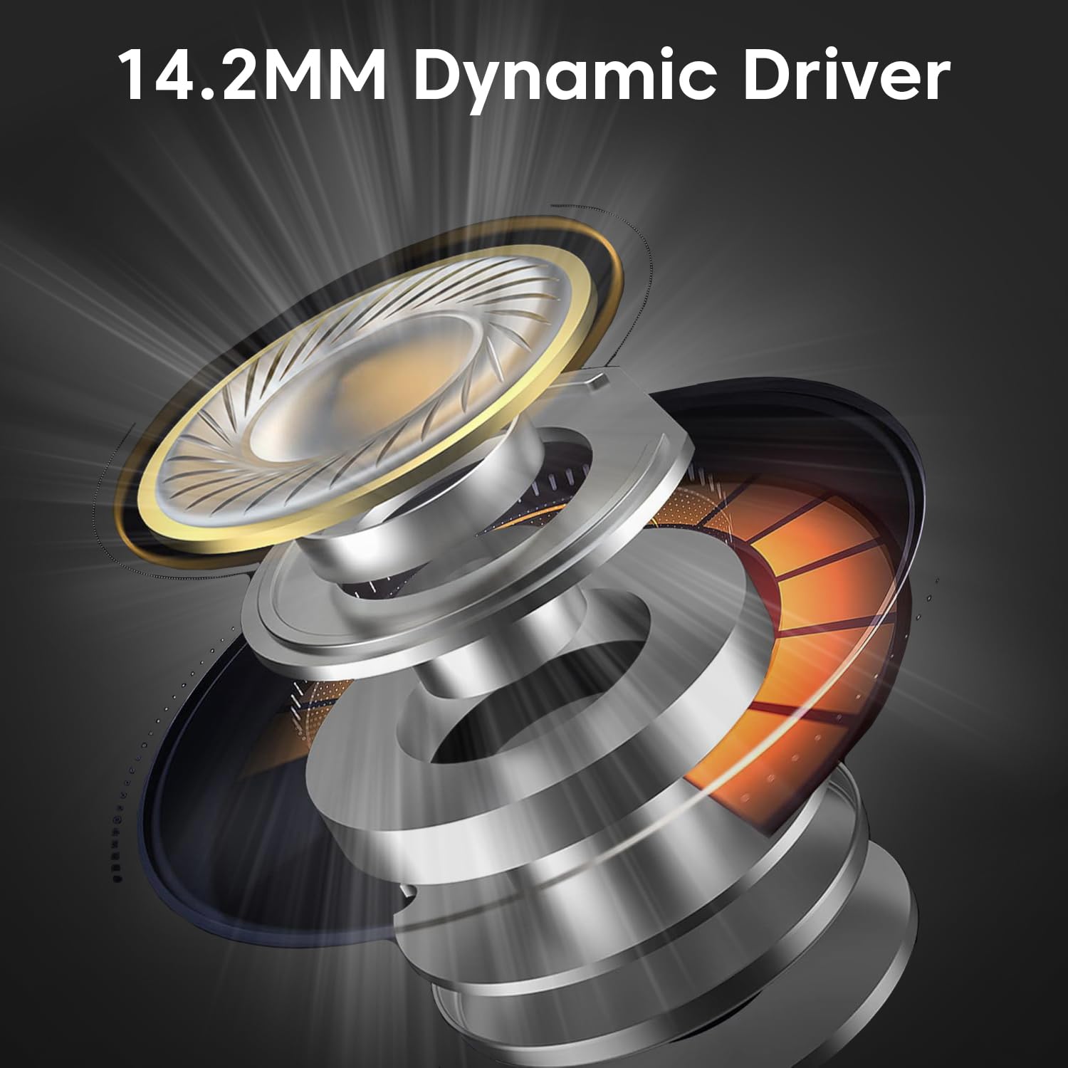 Sounce Type-C Wired IEM Earphones | 14.2mm Dynamic Drivers, HD Mic, Anti-Tangle 1.2m Cable & Ergonomic In-Ear Monitor Design (Black)